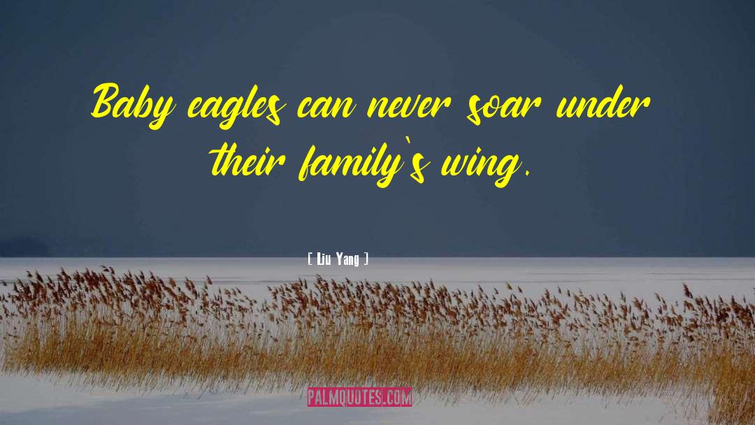 New Family quotes by Liu Yang