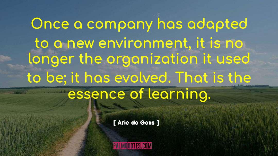 New Foundations quotes by Arie De Geus