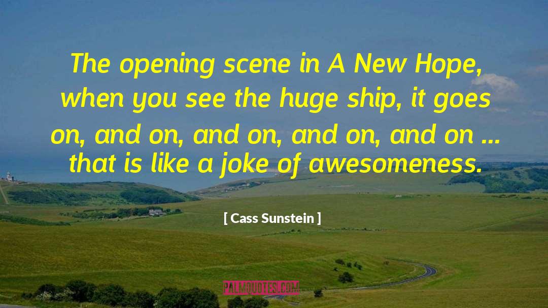 New Hope quotes by Cass Sunstein