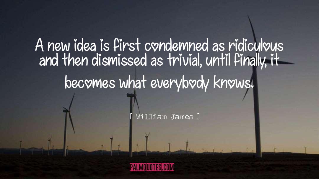 New Idea quotes by William James