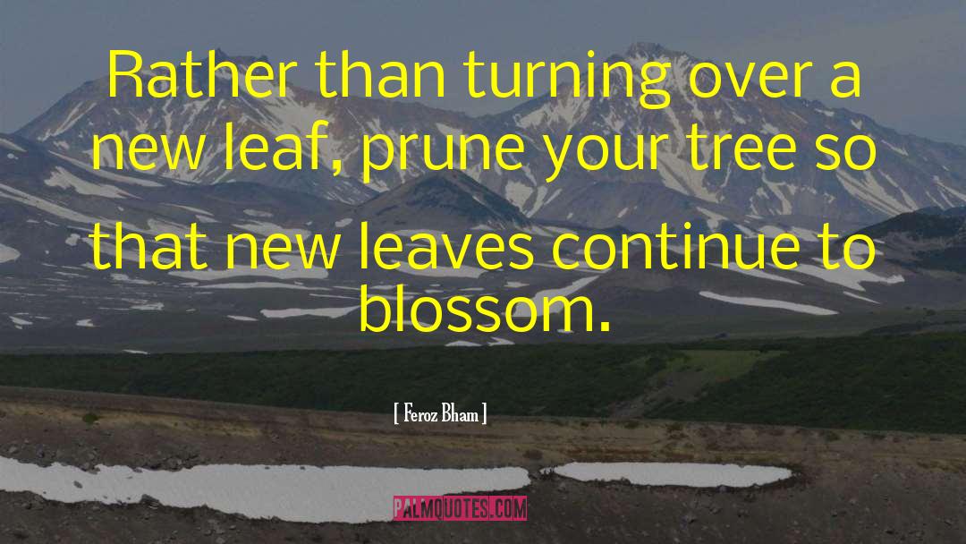 New Leaves quotes by Feroz Bham