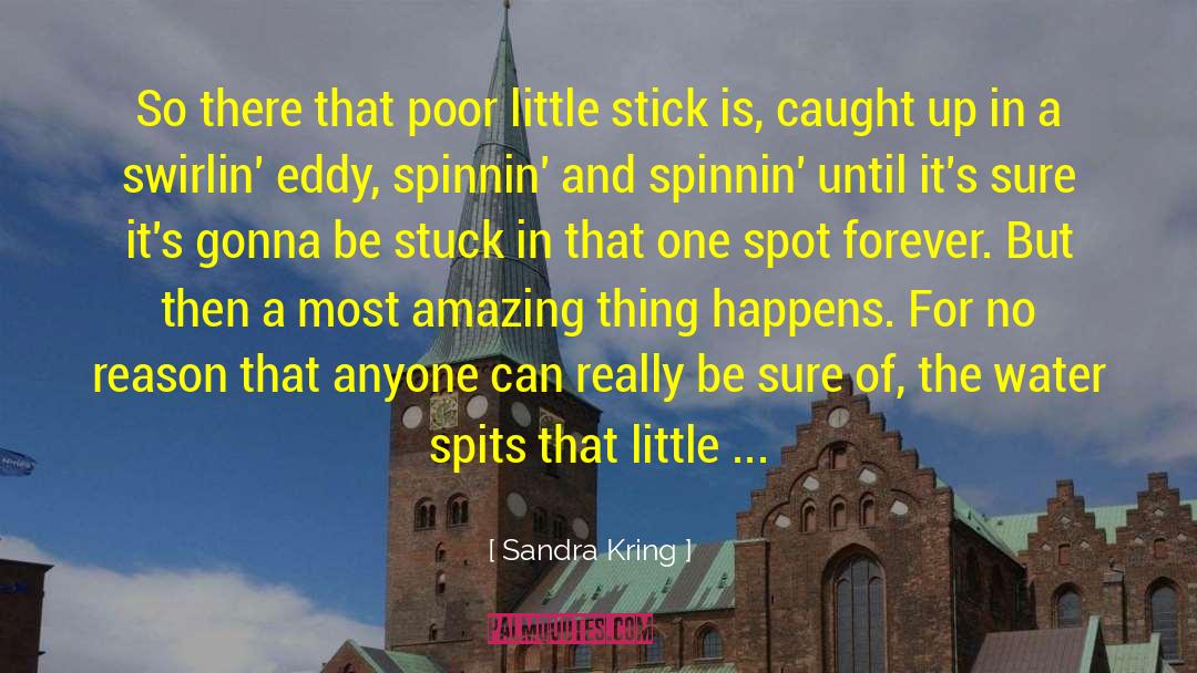 New Leaves quotes by Sandra Kring