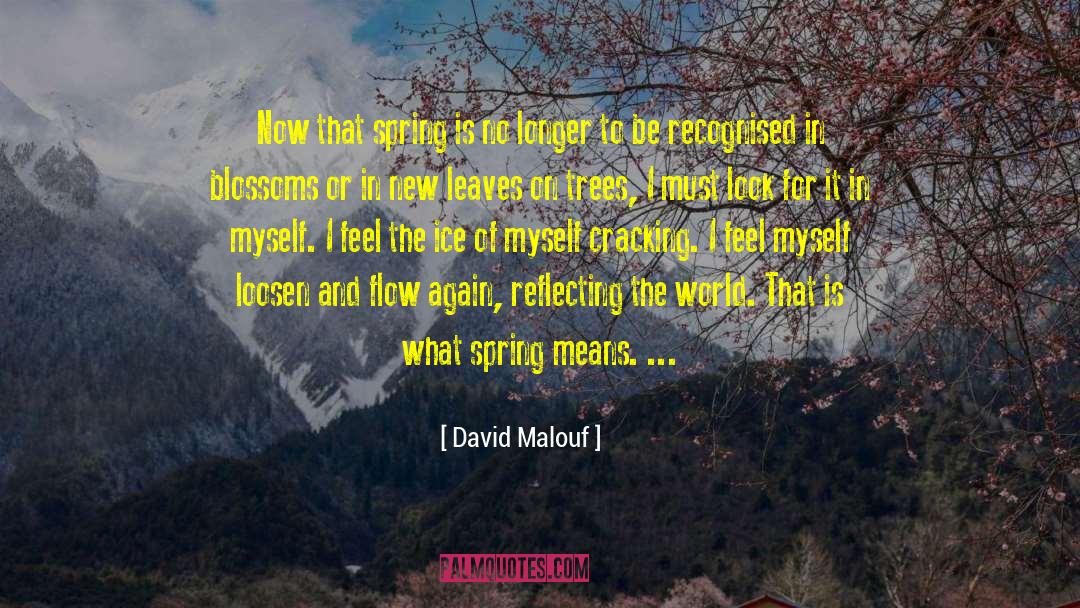 New Leaves quotes by David Malouf