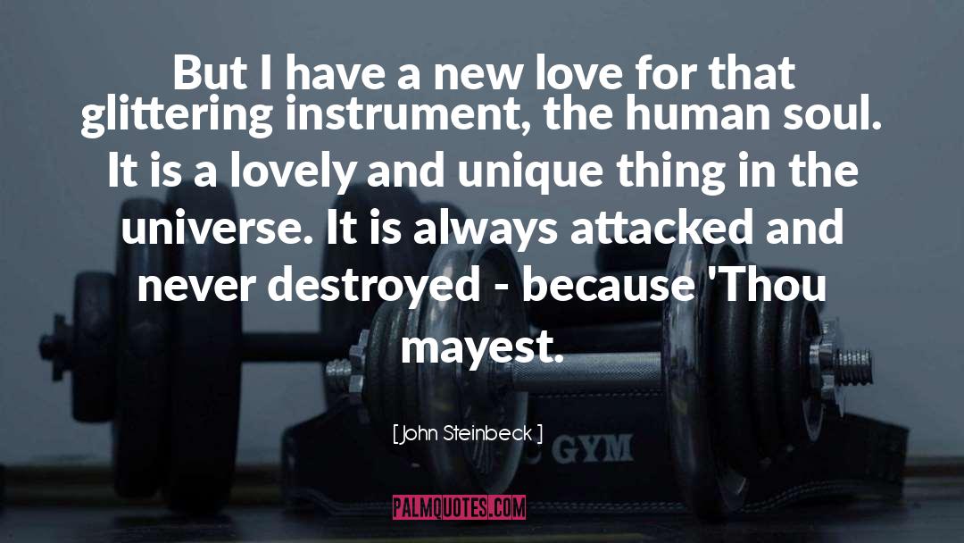 New Love quotes by John Steinbeck