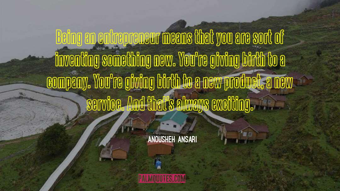 New Marketing quotes by Anousheh Ansari
