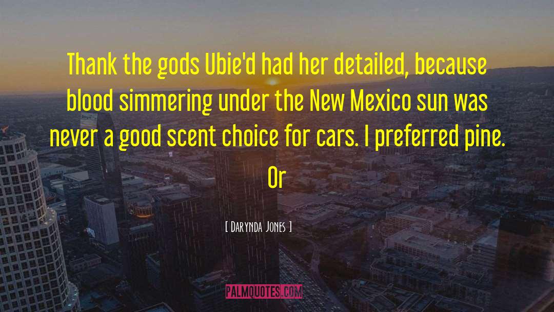 New Mexico quotes by Darynda Jones