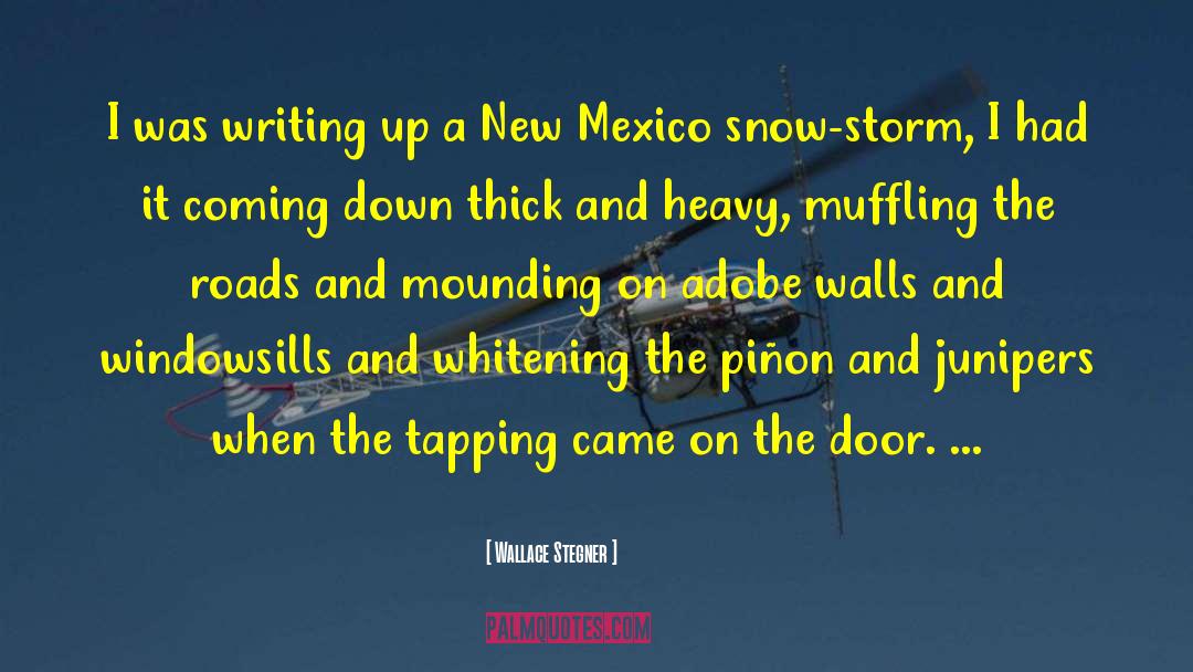 New Mexico quotes by Wallace Stegner