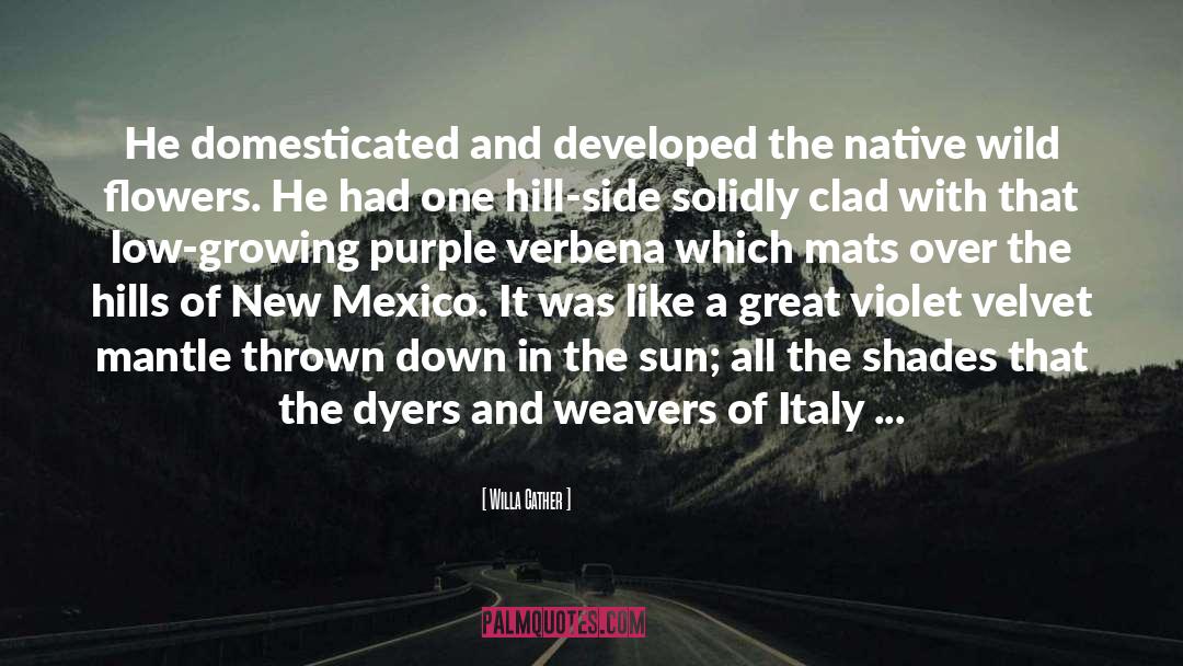 New Mexico quotes by Willa Cather