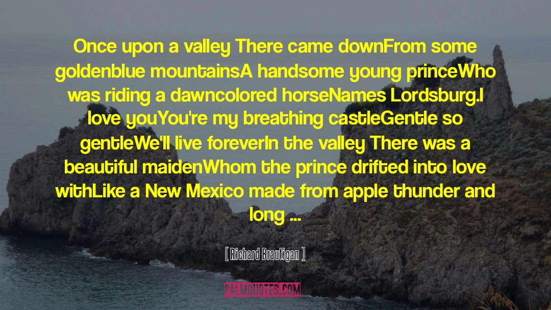 New Mexico quotes by Richard Brautigan