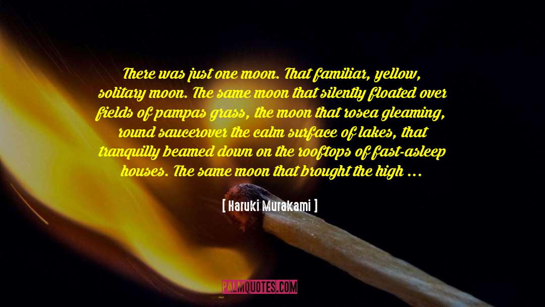 New Moon quotes by Haruki Murakami