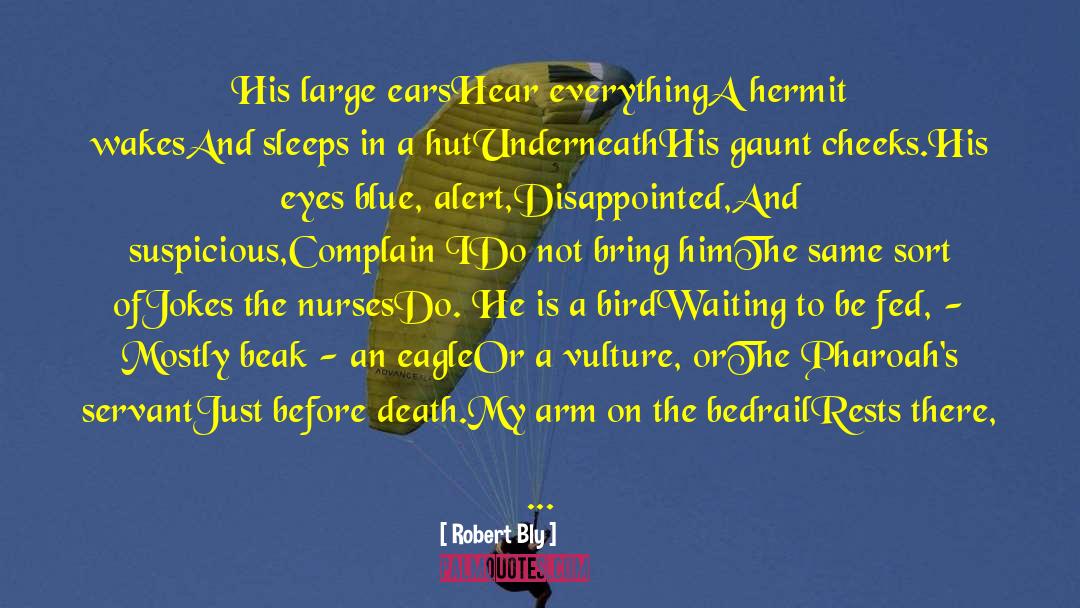 New Nurses quotes by Robert Bly