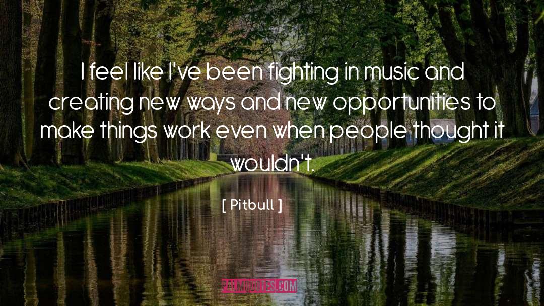 New Opportunities quotes by Pitbull