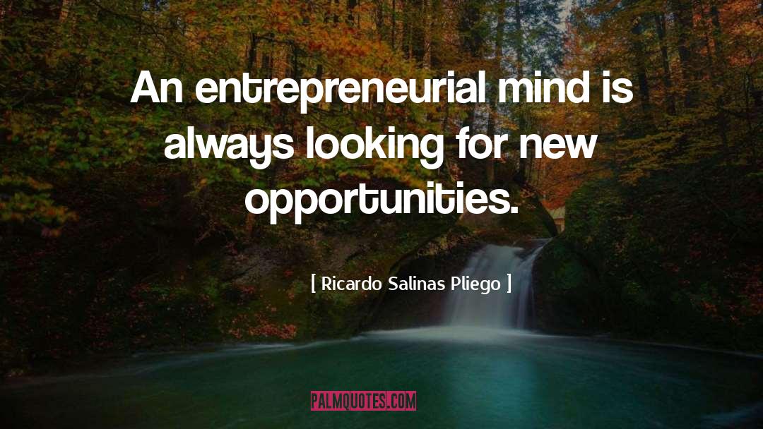 New Opportunities quotes by Ricardo Salinas Pliego