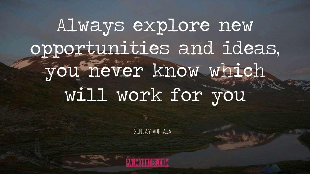 New Opportunities quotes by Sunday Adelaja