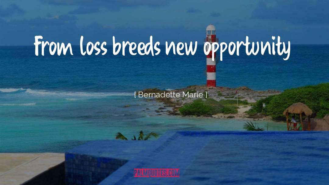 New Opportunity quotes by Bernadette Marie