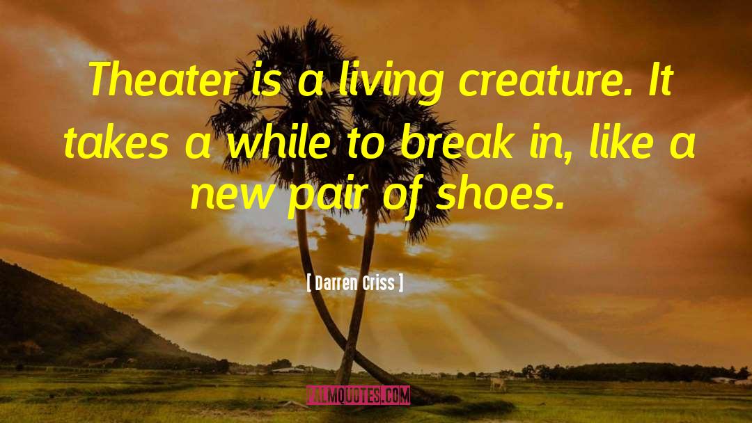 New Pair Of Shoes quotes by Darren Criss