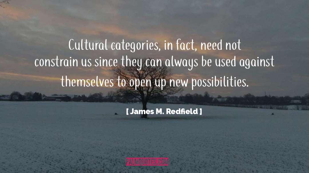 New Possibilities quotes by James M. Redfield