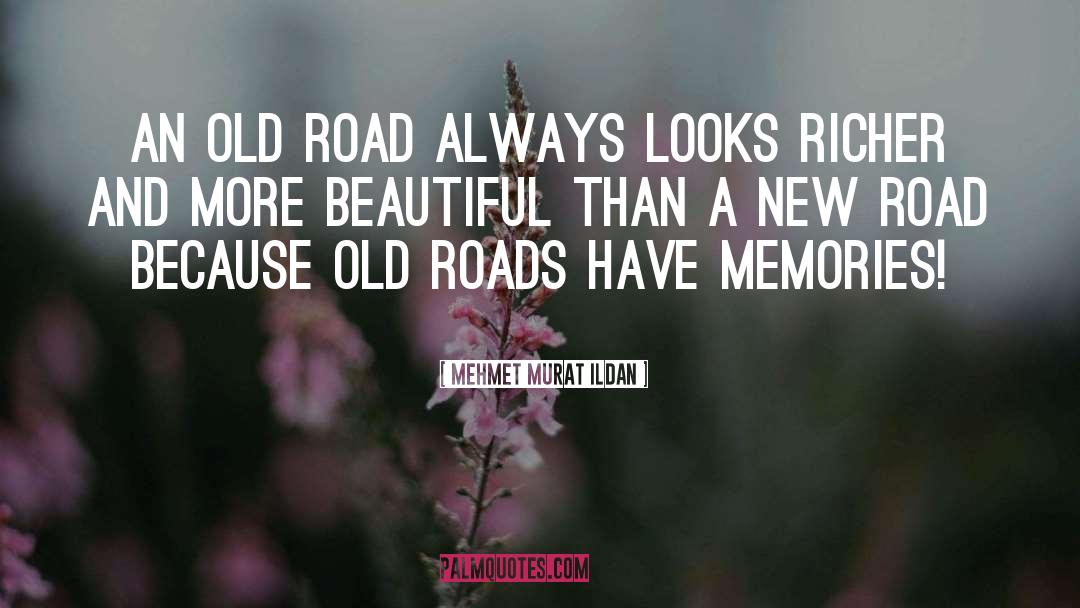 New Road quotes by Mehmet Murat Ildan