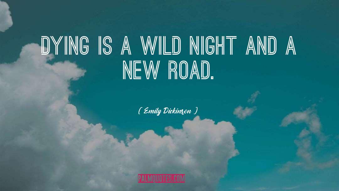 New Road quotes by Emily Dickinson