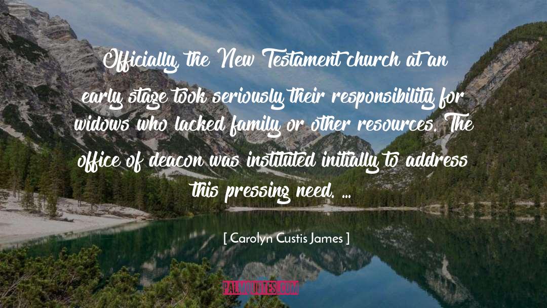 New Testament Church quotes by Carolyn Custis James