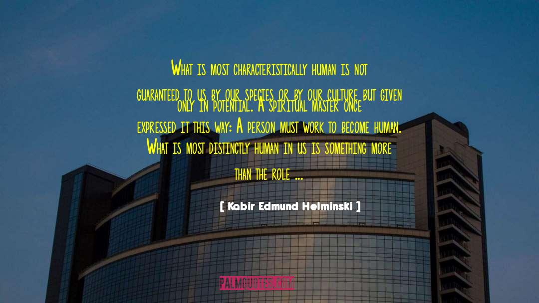 New Understanding quotes by Kabir Edmund Helminski