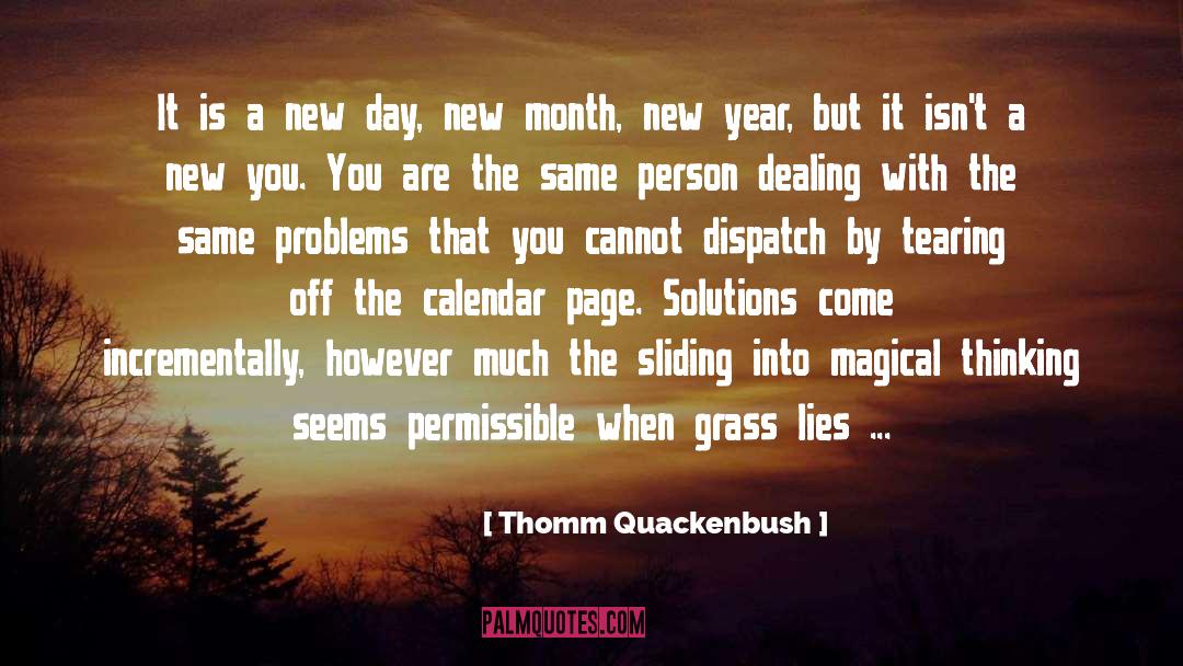 New Year Reflections quotes by Thomm Quackenbush