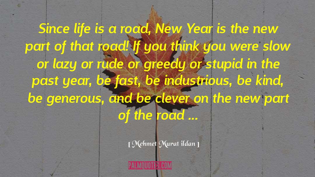 New Year S quotes by Mehmet Murat Ildan