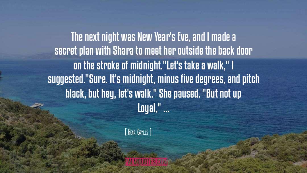 New Years Eve Song quotes by Bear Grylls