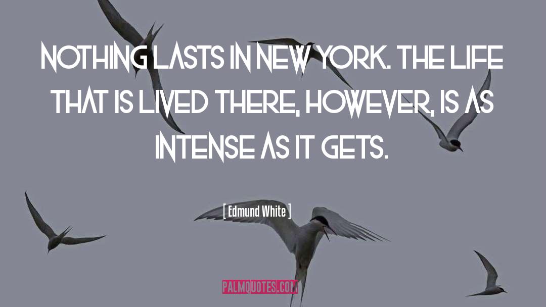 New York Kings quotes by Edmund White