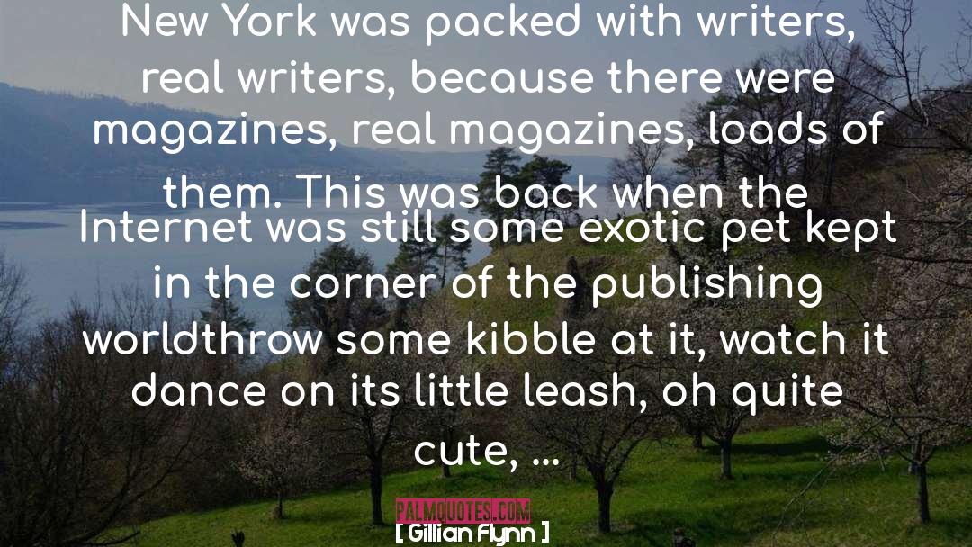 New York Lights quotes by Gillian Flynn