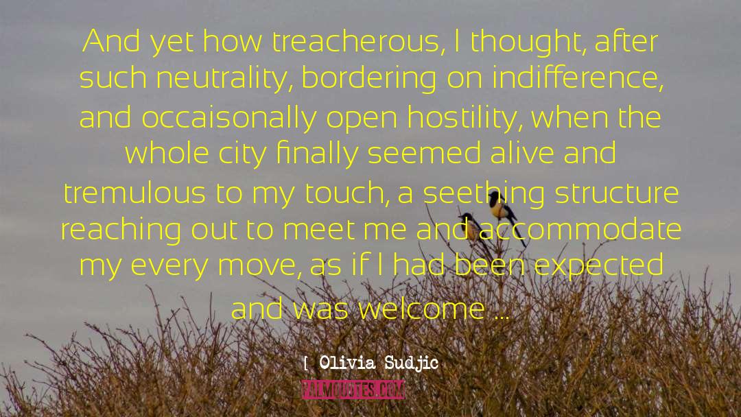 New York Trilogy quotes by Olivia Sudjic