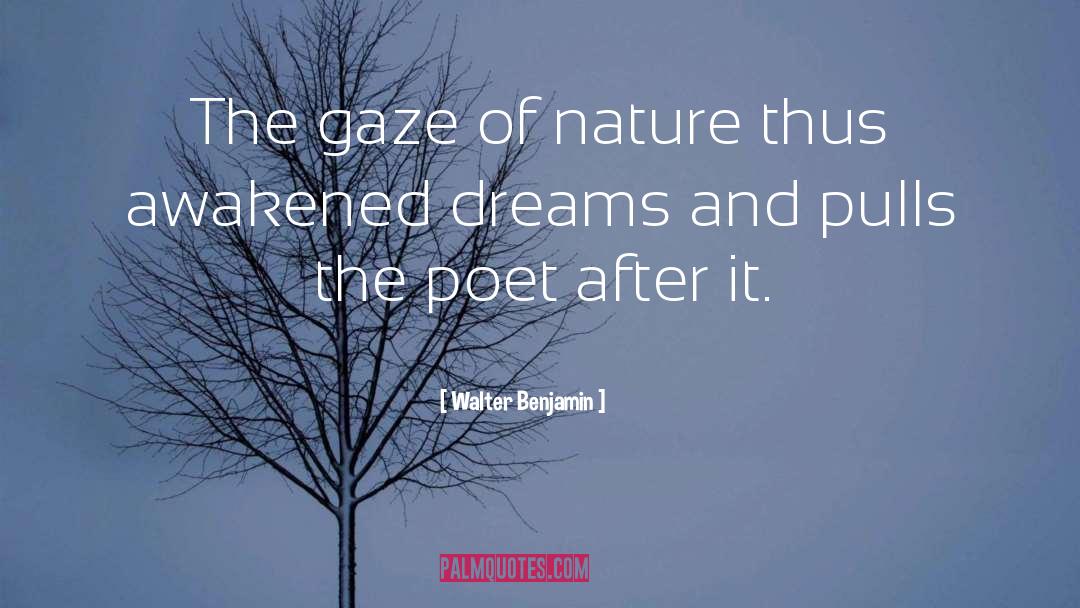 Newcastle Poet quotes by Walter Benjamin