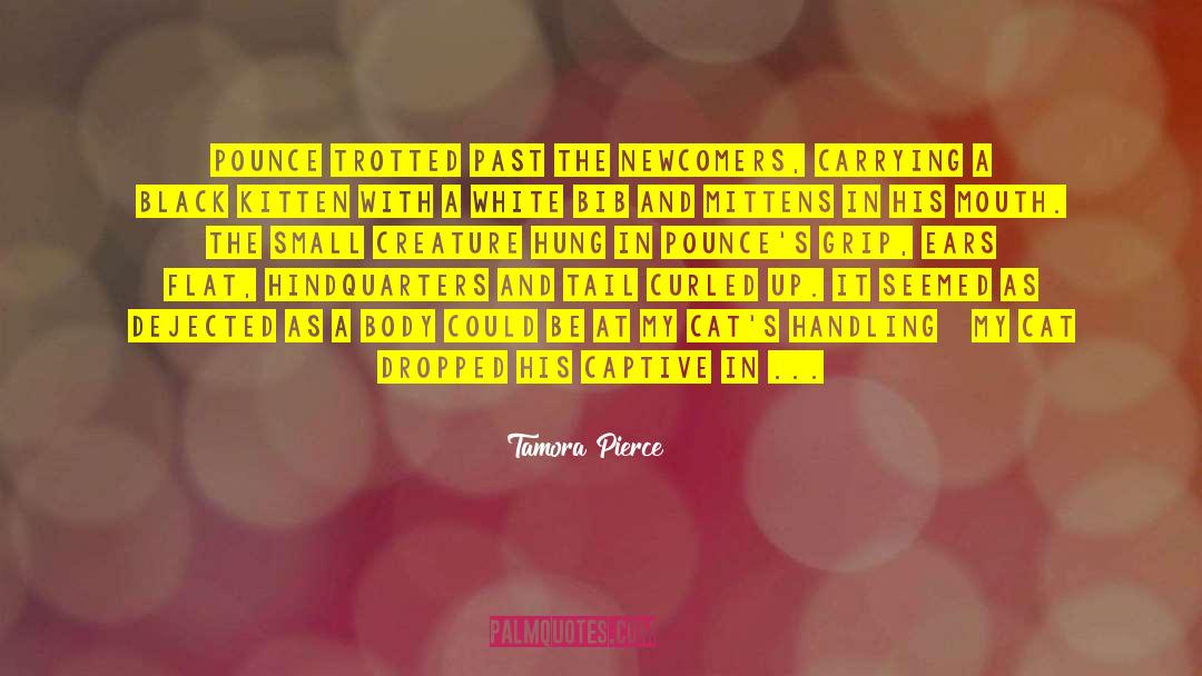 Newcomers quotes by Tamora Pierce