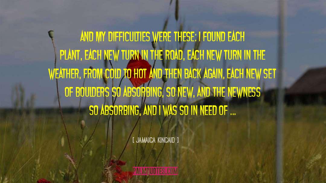 Newness quotes by Jamaica Kincaid