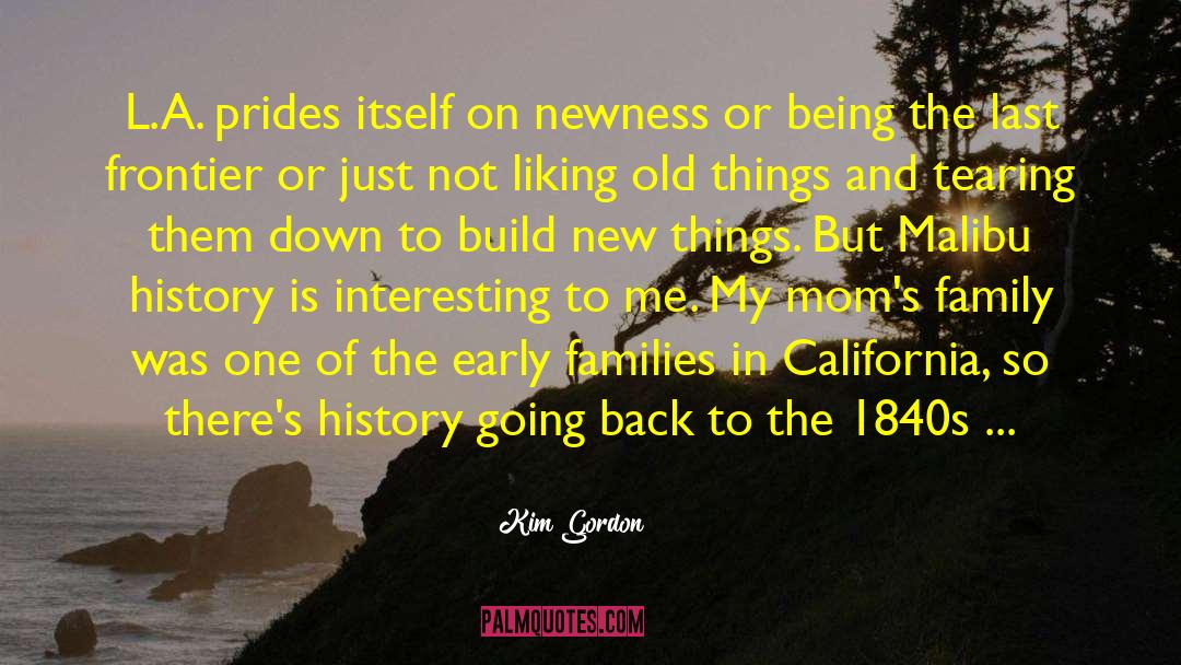 Newness quotes by Kim Gordon
