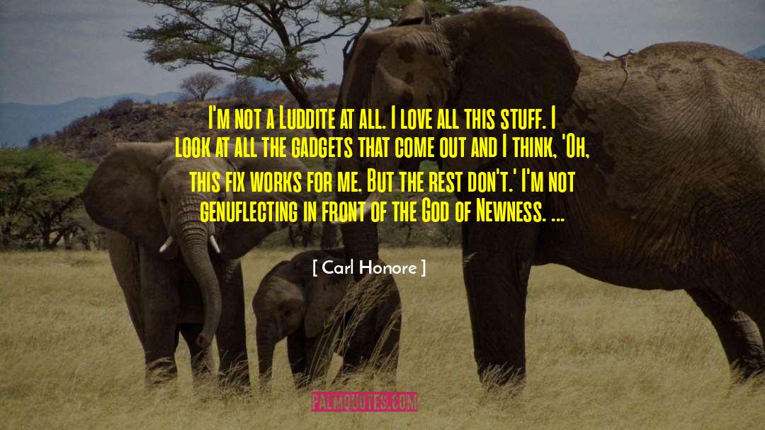 Newness quotes by Carl Honore