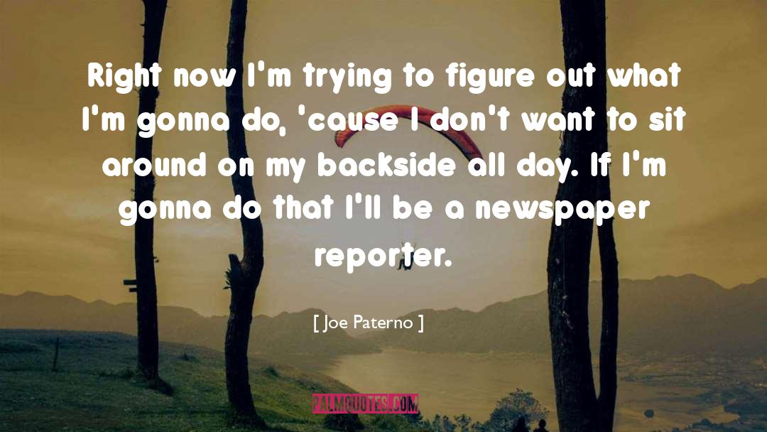 Newspaper Reporter quotes by Joe Paterno