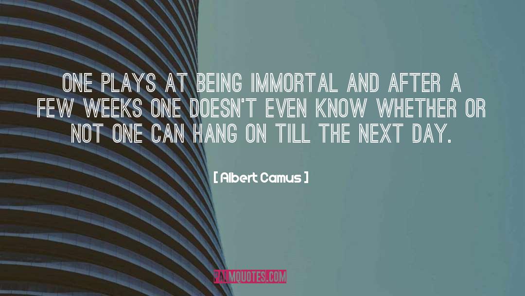 Next Day quotes by Albert Camus