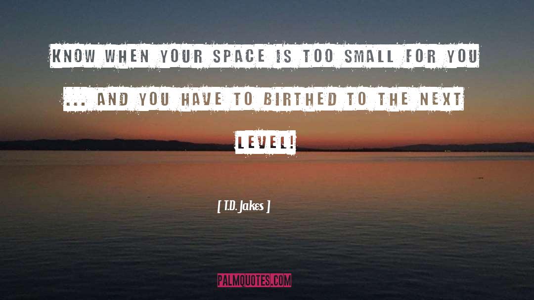 Next Level quotes by T.D. Jakes