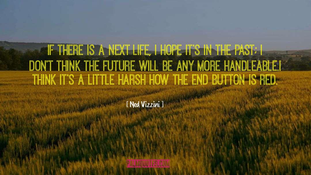 Next Life quotes by Ned Vizzini