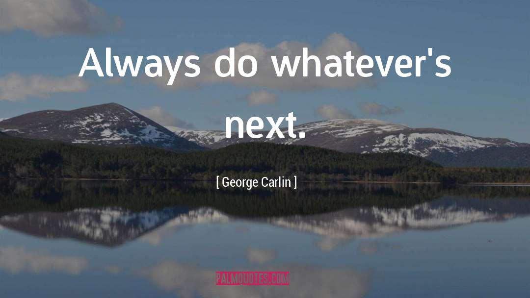 Next Life quotes by George Carlin