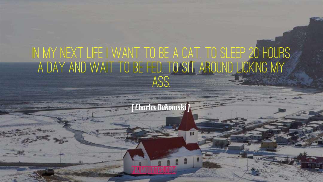 Next Life quotes by Charles Bukowski