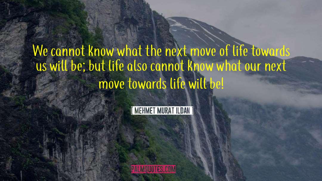 Next Move quotes by Mehmet Murat Ildan