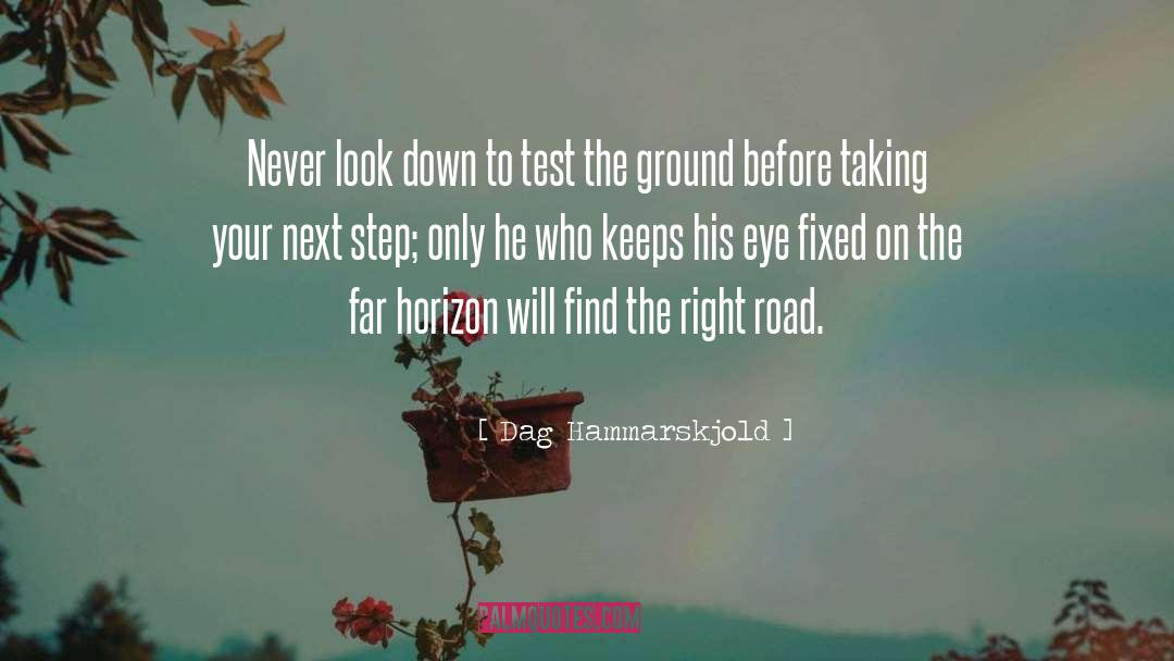 Next Step quotes by Dag Hammarskjold