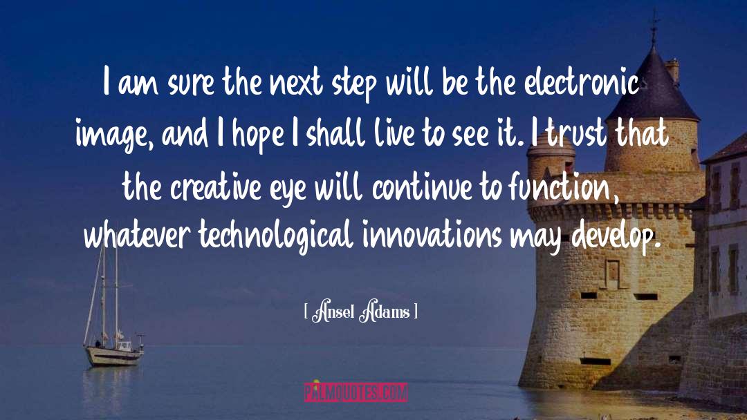 Next Steps quotes by Ansel Adams