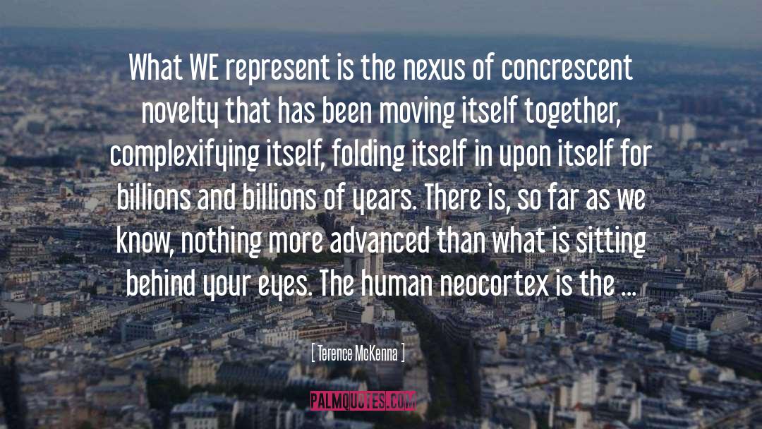 Nexus quotes by Terence McKenna