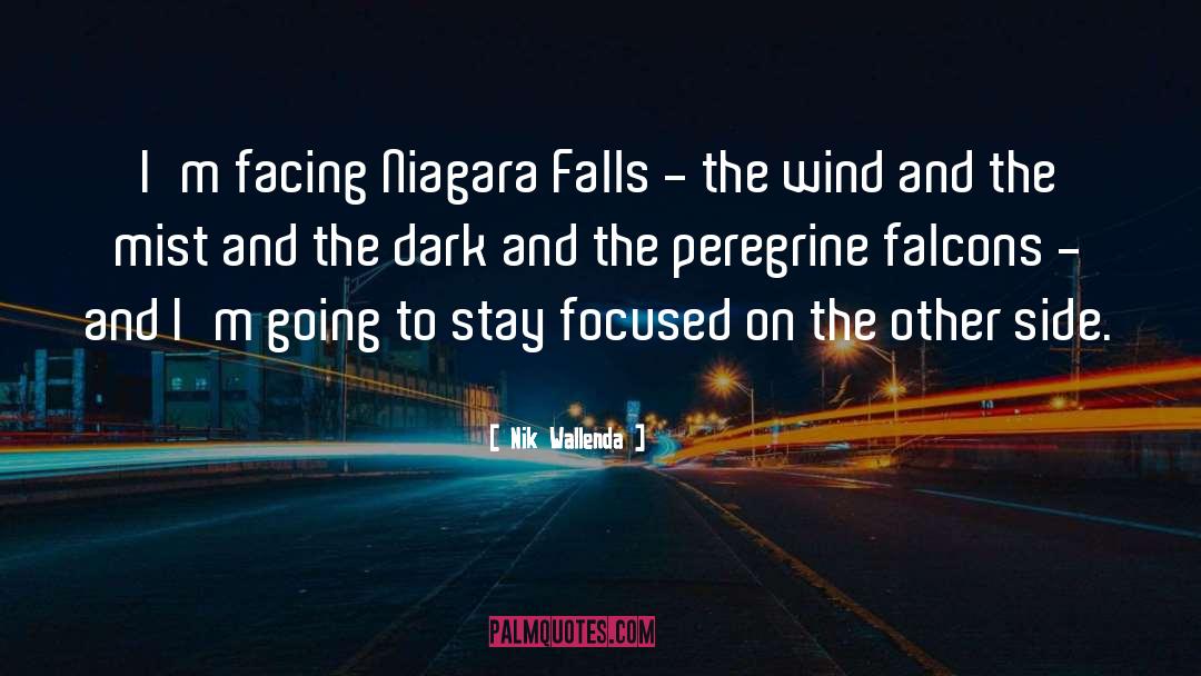Niagara Falls quotes by Nik Wallenda