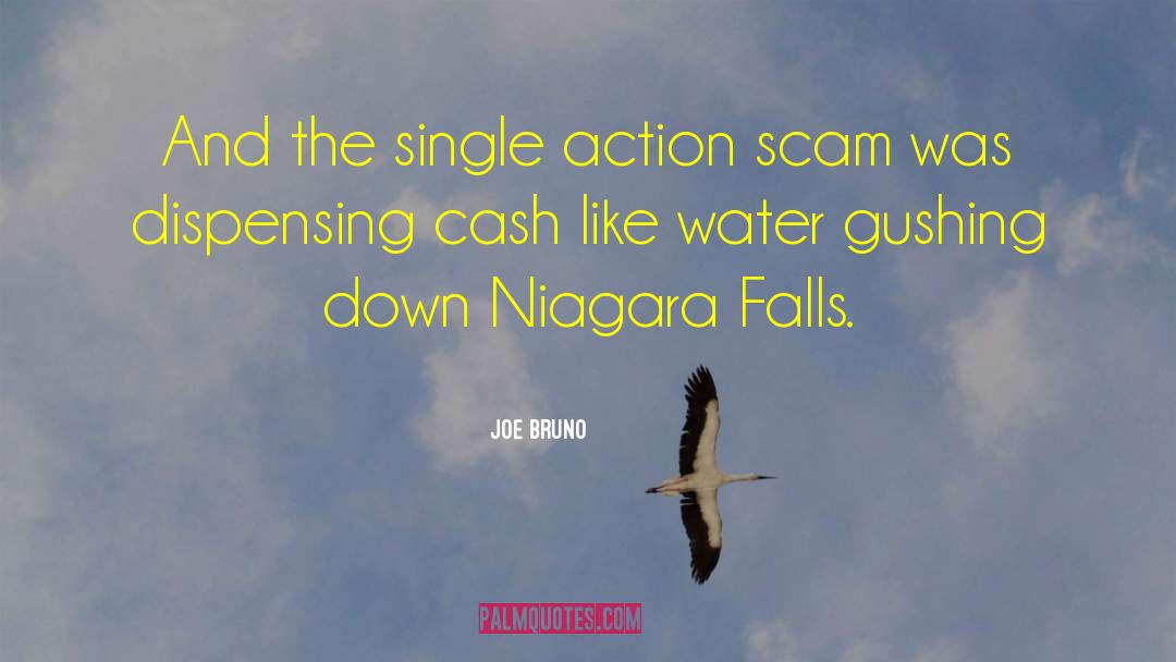 Niagara Falls quotes by Joe Bruno