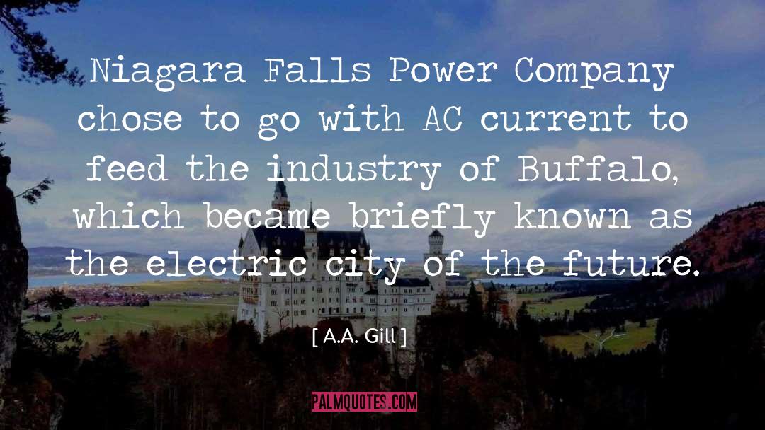 Niagara quotes by A.A. Gill