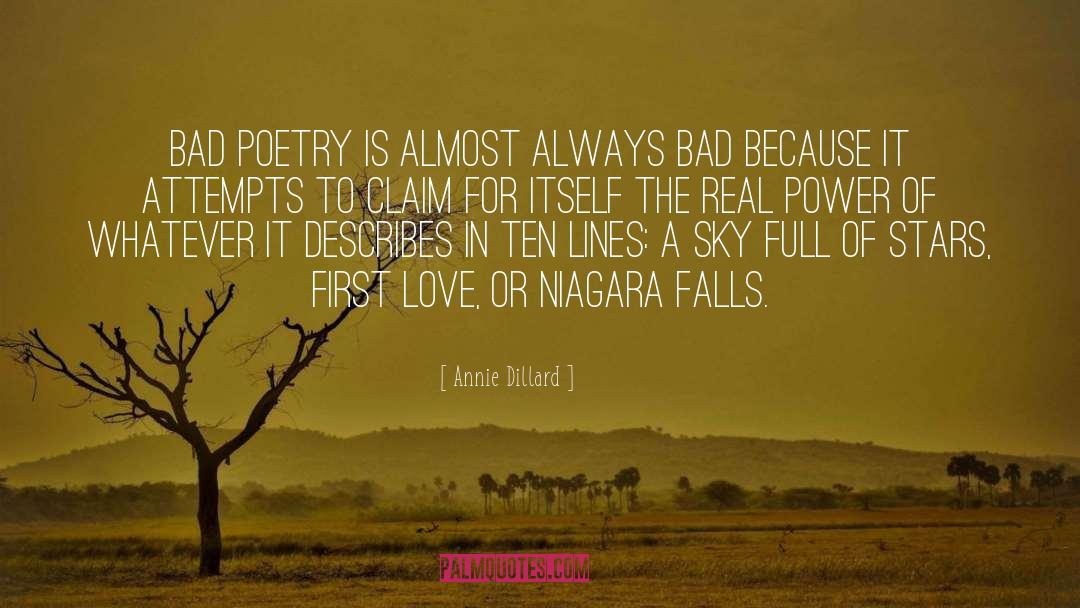 Niagara quotes by Annie Dillard